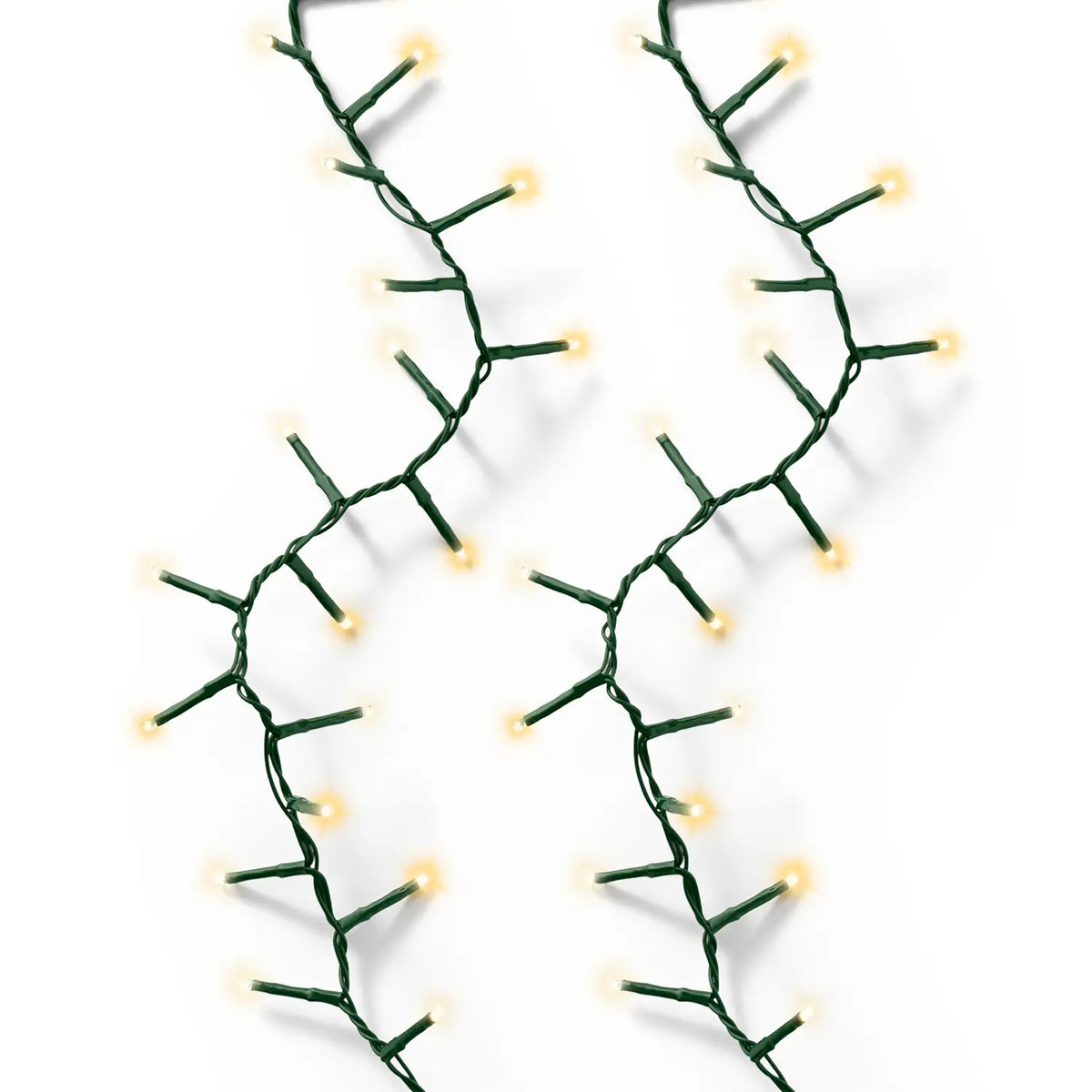 X51829