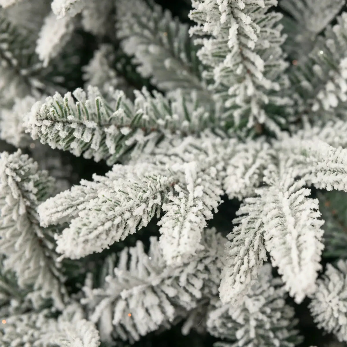 X61943