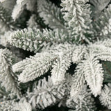 X61931
