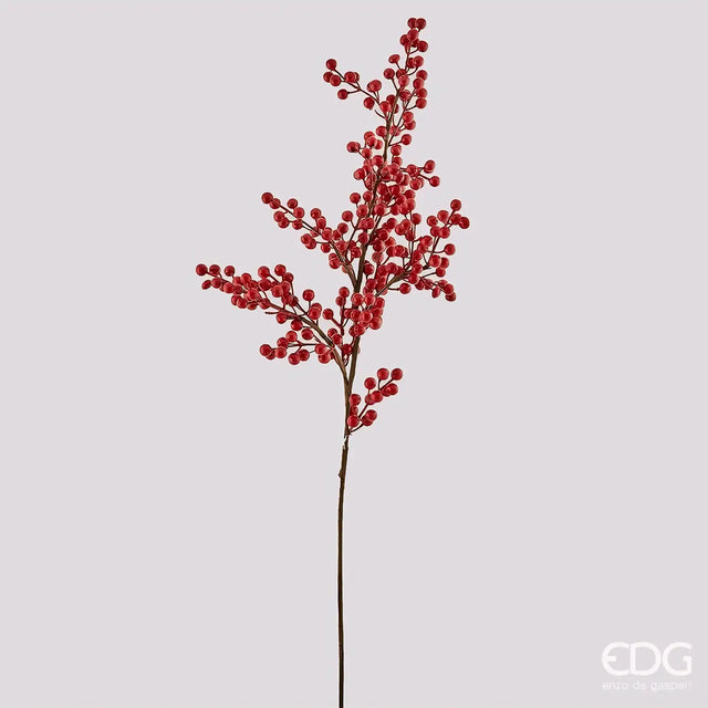 X65655