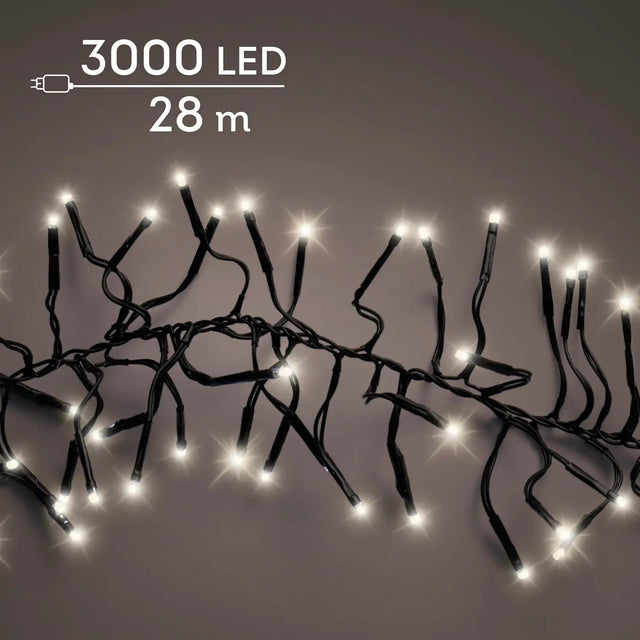 X65943